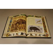 На память: Настольная книга охотника — книга для мужчины — фотография 4