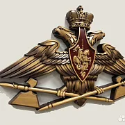 На память: Резной герб МТО ВС РФ из бука — фотография 2
